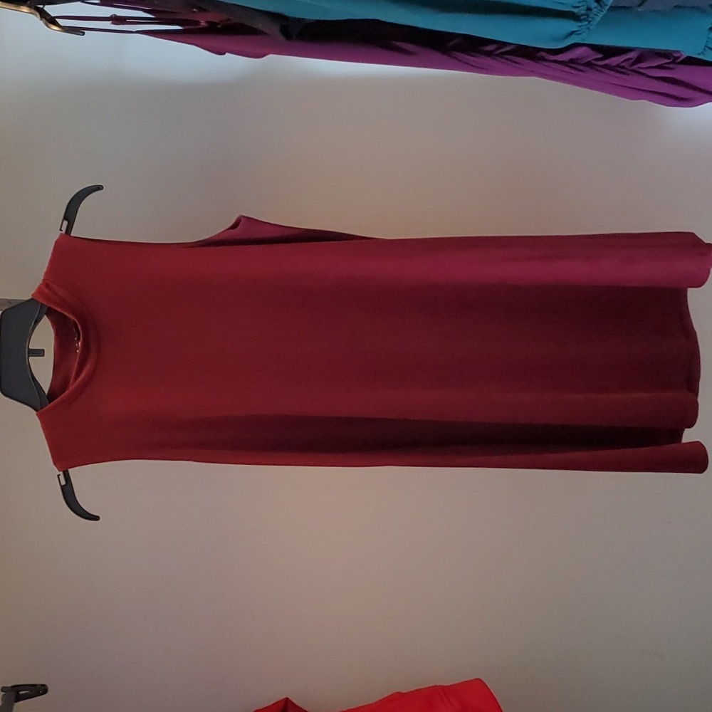 Tiana B. Maroon velour shift dress